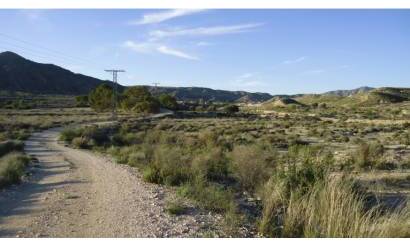 Land · Sale · Abanilla · Abanilla