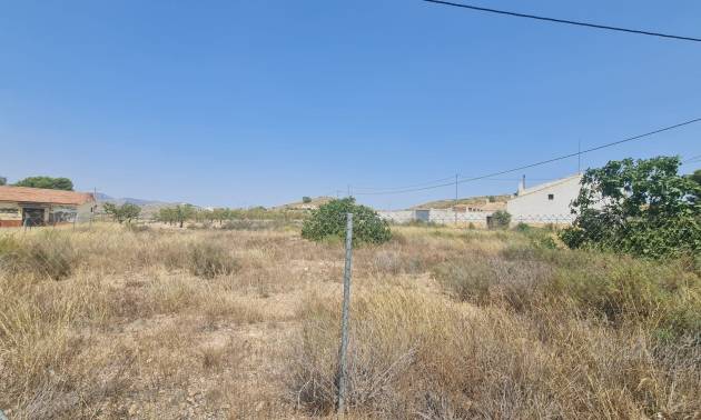 Land - Sale - Canada del Trigo - Canada del Trigo