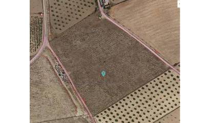 Land - Sale - Canada del Trigo - INM-22356