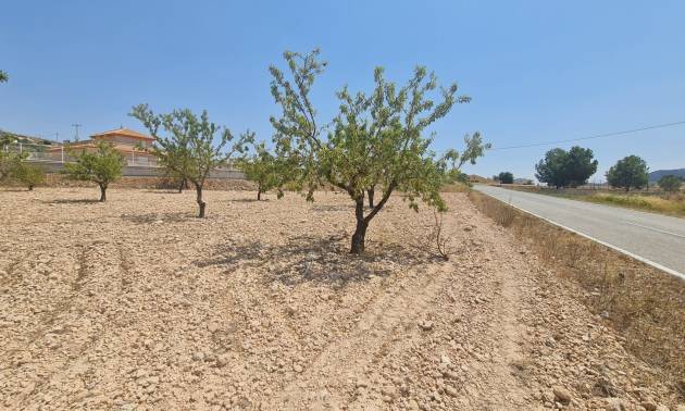 Land - Sale - Jumilla - Jumilla