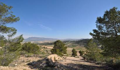 Land - Sale - La Zarza - INM-46933