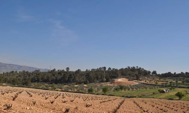 Land - Sale - La Zarza - La Zarza