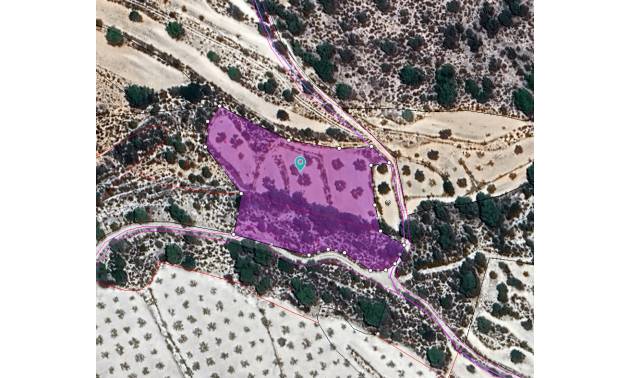 Land - Sale - Monovar - Monovar