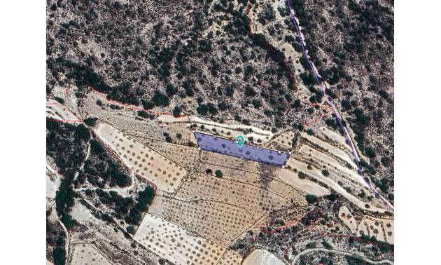 Land - Sale - Monovar - Monovar