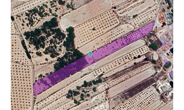Land - Sale - Monovar - Monovar
