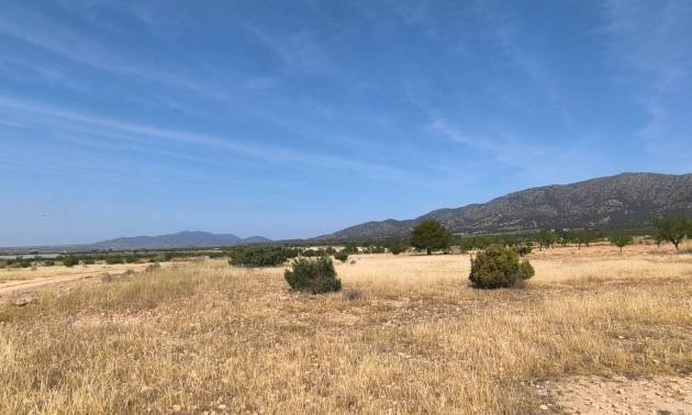 Land - Sale - Monovar - Monovar