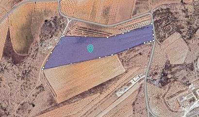 Land - Sale - Pinoso - INM-15664