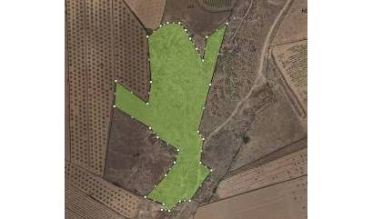 Land - Sale - Pinoso - INM-53483