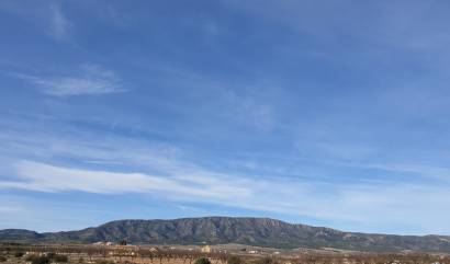 Land - Sale - Pinoso - INM-72279