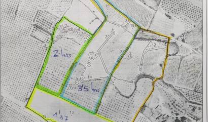 Land - Sale - Pinoso - INM-77816