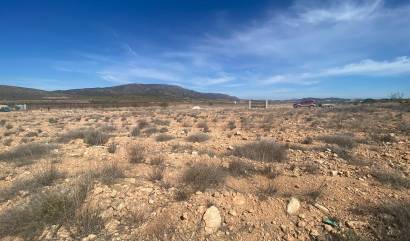 Land - Sale - Pinoso - INM-80297