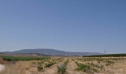 Land - Sale - Pinoso - INM-86639