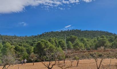 Land - Sale - Pinoso - INM-99428