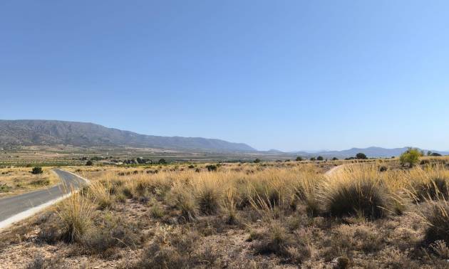 Land - Sale - Pinoso - Pinoso