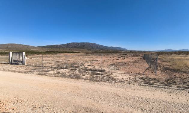 Land - Sale - Pinoso - Pinoso