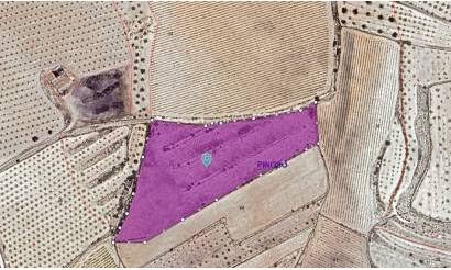 Land · Sale · Pinoso · Pinoso