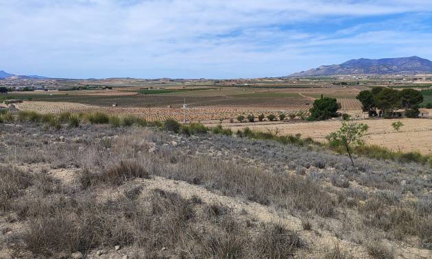 Land - Sale - Pinoso - Pinoso
