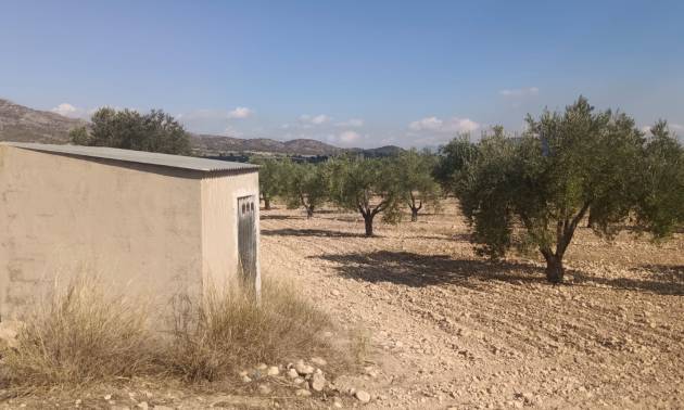 Land - Sale - Salinas - Salinas