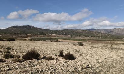 Land · Sale · Salinas · Salinas