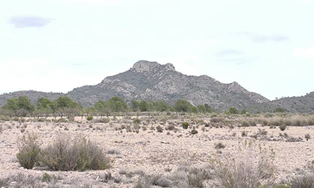 Land - Sale - Salinas - Salinas