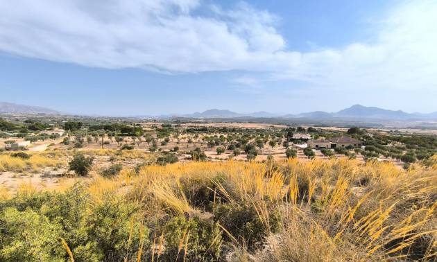 Land - Sale - Sax - Sax