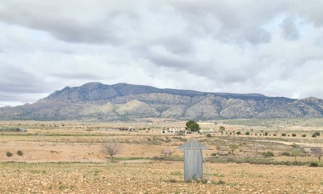 Land - Sale - Torre Del Rico - Torre Del Rico