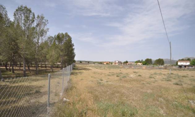 Land - Sale - Villena - Villena