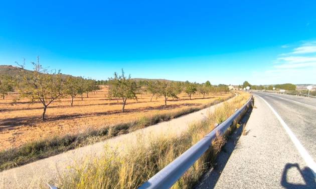 Land - Sale - Yecla - Yecla