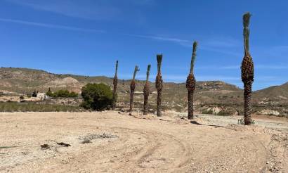 Land · Venta · Abanilla · Abanilla