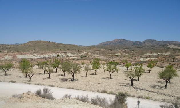 Land - Venta - Abanilla - Abanilla