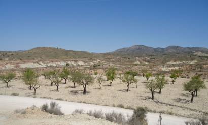 Land · Venta · Abanilla · Abanilla