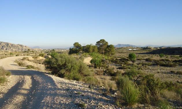 Land - Venta - Abanilla - Abanilla