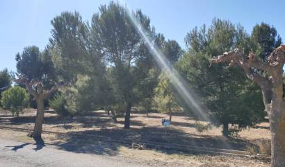 Land - Venta - Benejama - INM-99286