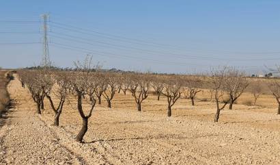 Land - Venta - Jumilla - INM-57681