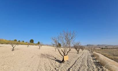 Land · Venta · Jumilla · Jumilla