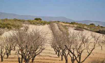 Land · Venta · Jumilla · Jumilla