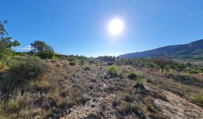 Land - Venta - La Romana - INM-78845