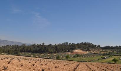 Land - Venta - La Zarza - INM-98168