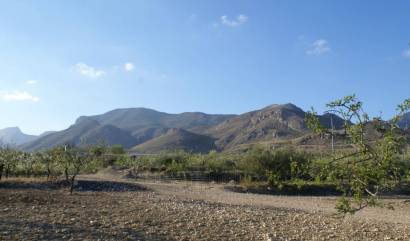 Land - Venta - Murcia - Ham-78957