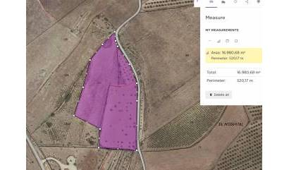 Land - Venta - Pinoso - INM-62460