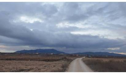 Land - Venta - Pinoso - INM-64289