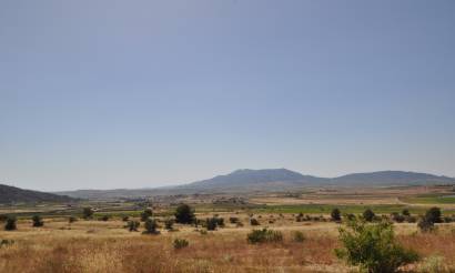 Land · Venta · Pinoso · Pinoso