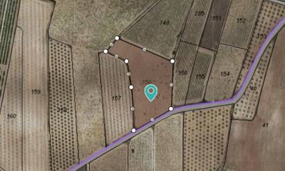 Land · Venta · Pinoso · Pinoso