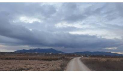 Land · Venta · Pinoso · Pinoso