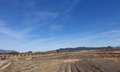 Land · Venta · Pinoso · Pinoso