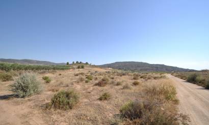 Land · Venta · Pinoso · Pinoso