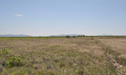 Land · Venta · Pinoso · Pinoso