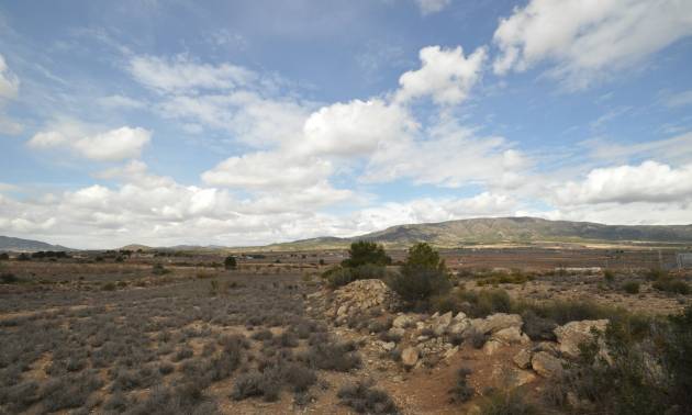 Land - Venta - Pinoso - Pinoso