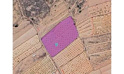 Land · Venta · Pinoso · Pinoso