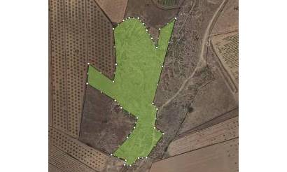 Land · Venta · Pinoso · Pinoso